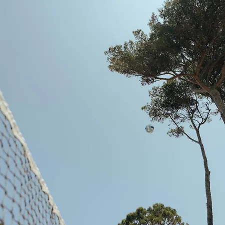 酒店 Le Domaine De La - Nature&authenticite 3*