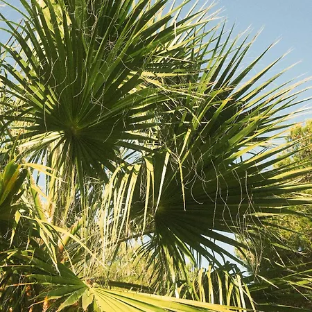 Le Domaine De La - Nature&authenticité Hyères