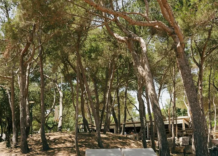 Hotel Le Domaine De La - Nature&authenticité