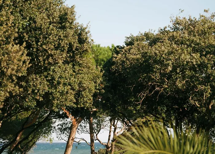 Hotel Le Domaine De La - Nature&authenticité