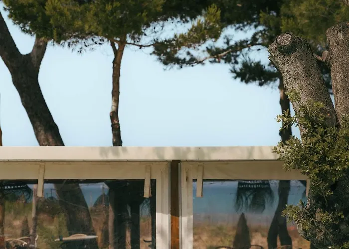 Hotel Le Domaine De La - Nature&authenticité Hyères