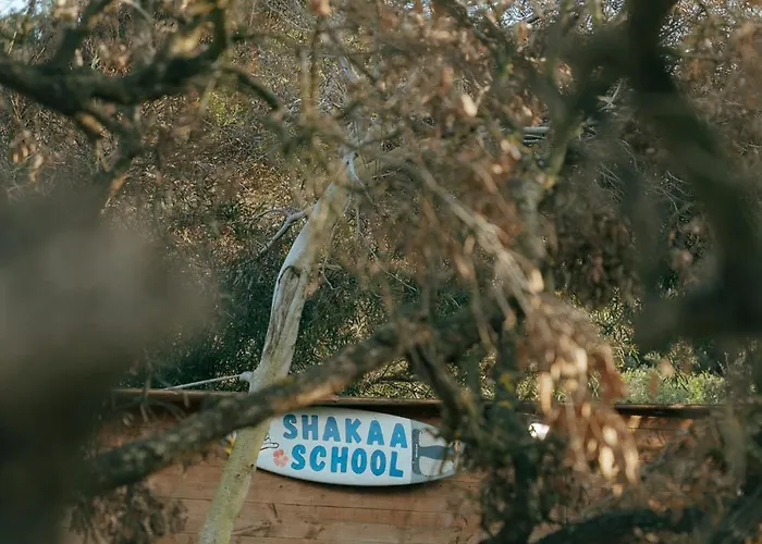 Hotel Le Domaine De La - Nature&authenticité Hyères